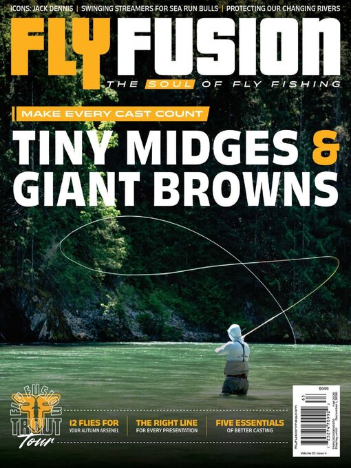 Cover image for Fly Fusion